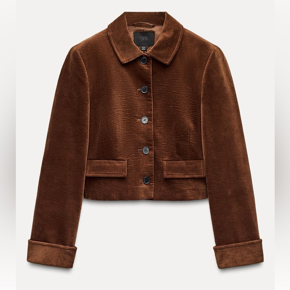 Zara Cropped Velvet Jacket in Brown